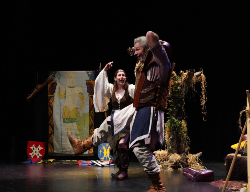 Spectacle Princesse Luciole