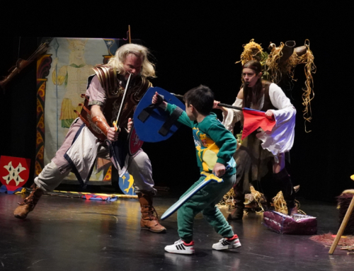 Spectacle Princesse Luciole